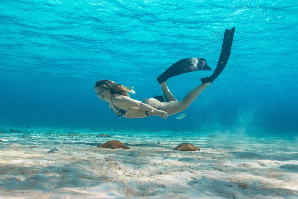 1snorkel 1735935055