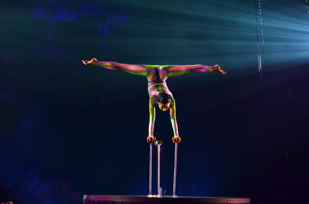 7entretenimiento61 1735928061