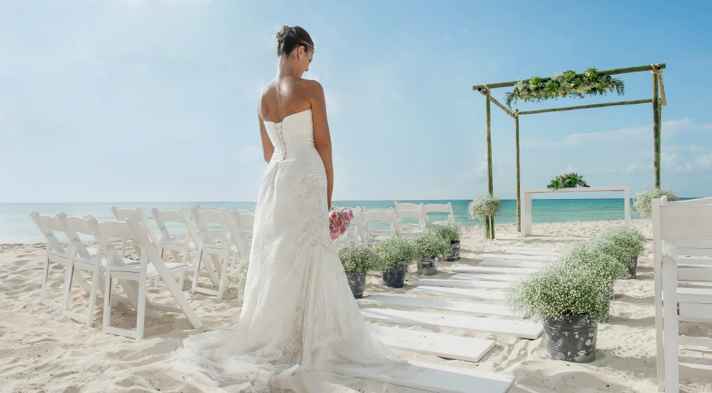 81bodas7 1735930105