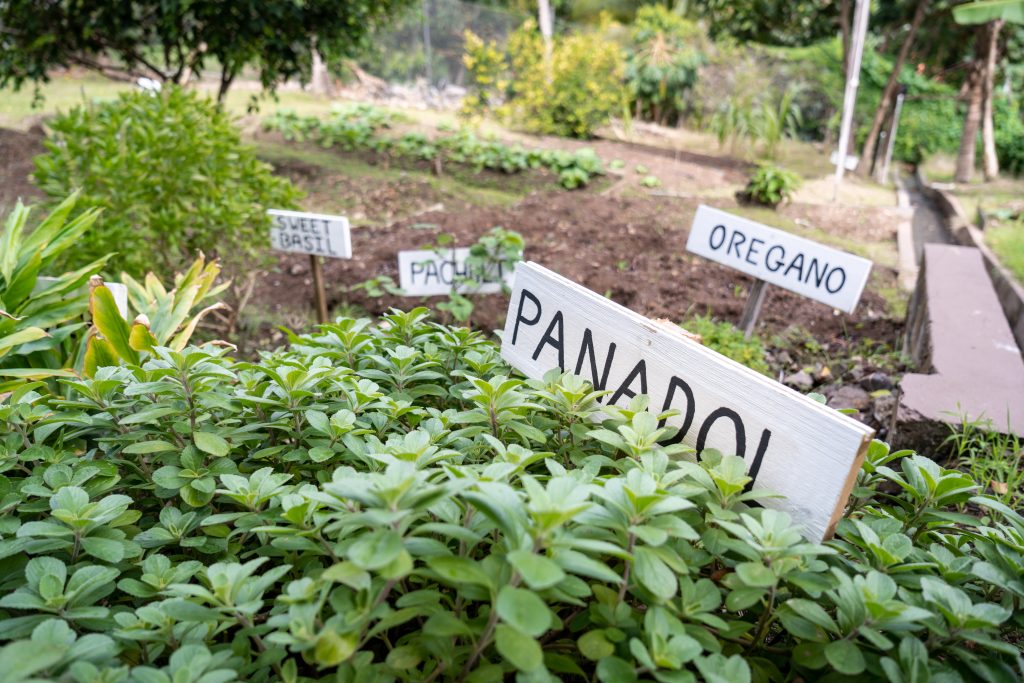 Bel Jou Garden 3 of 4