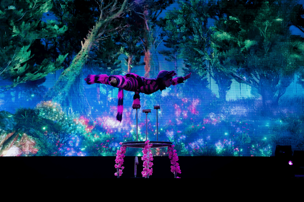 Entertainment 9