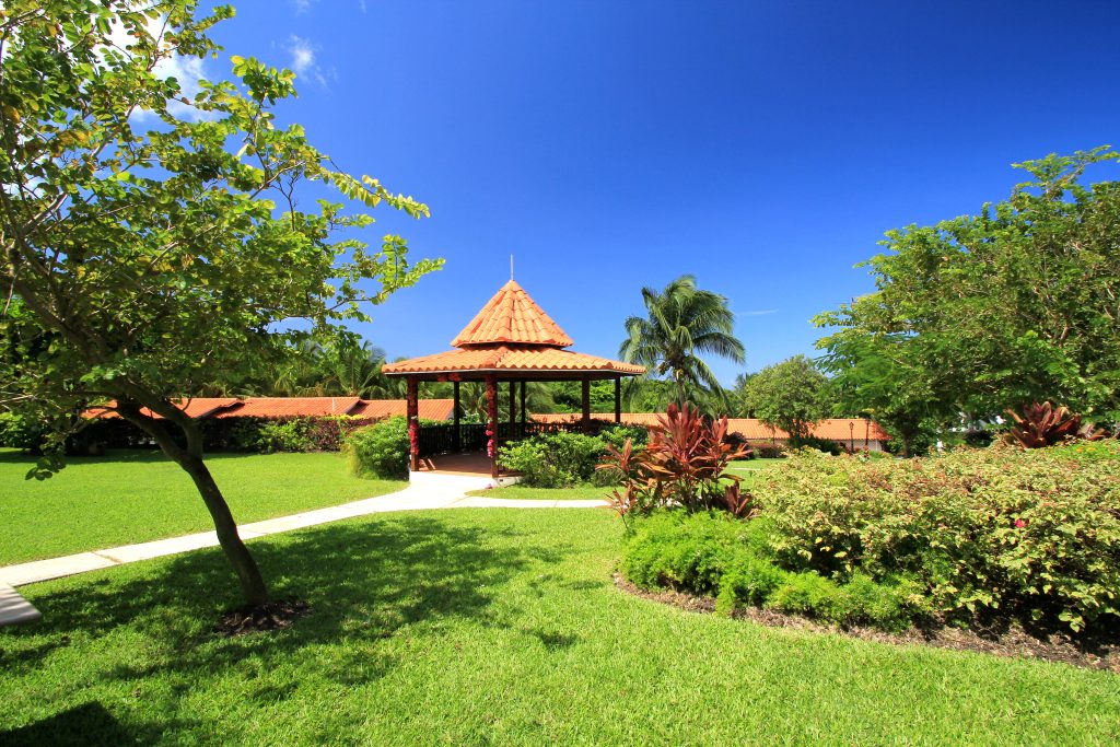 Garden View 1