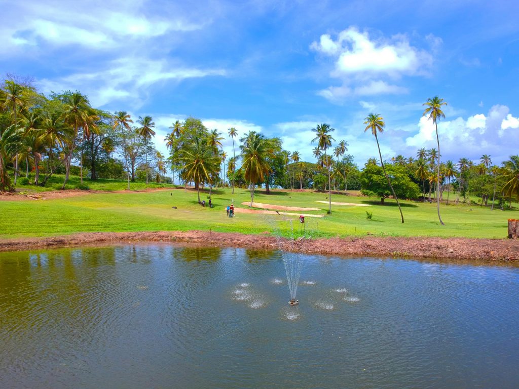 Golf-4