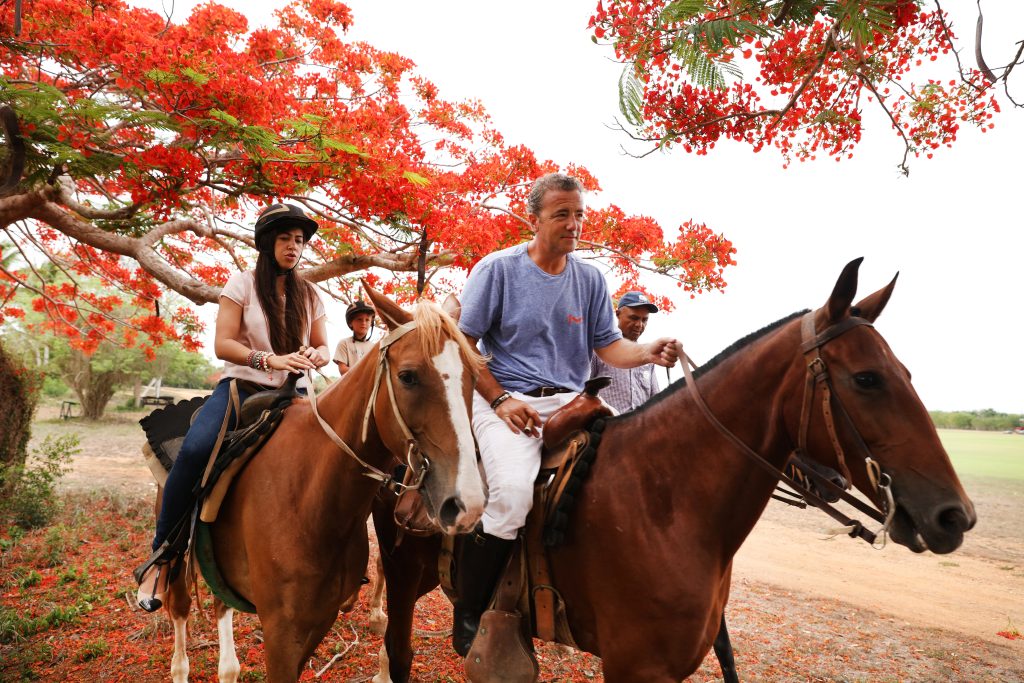Horseback-Riding-2