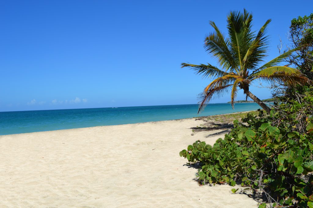 Oualie-Beach-60