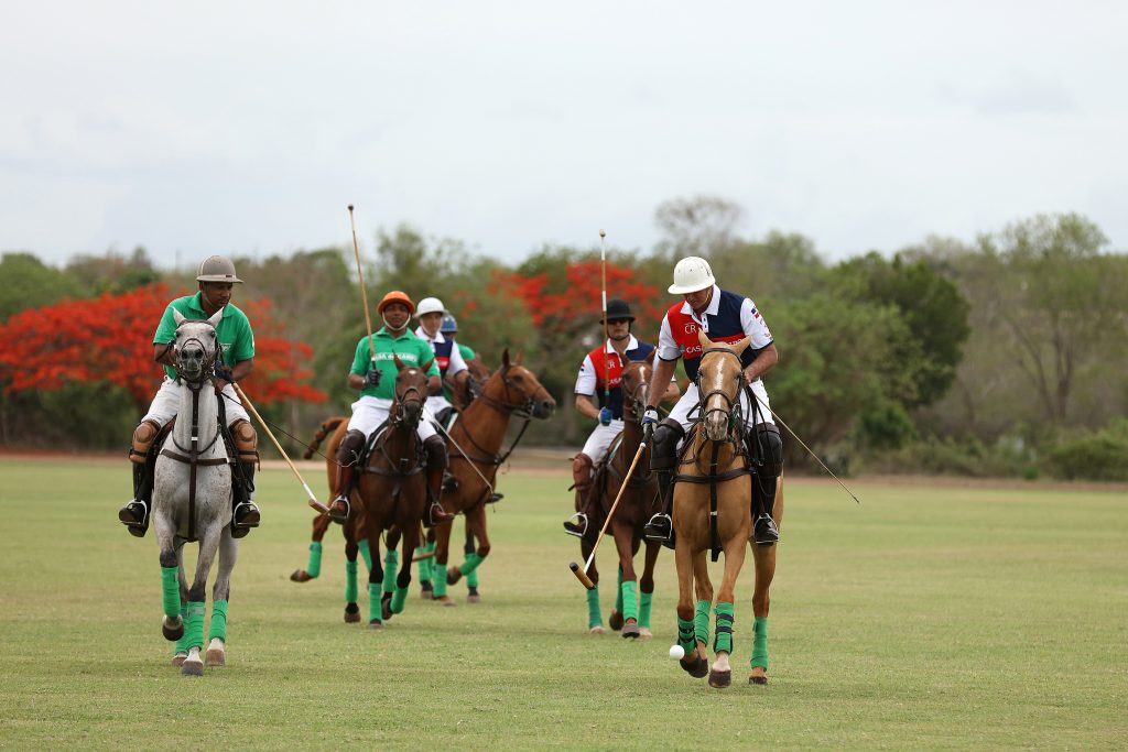Sports-Polo-4