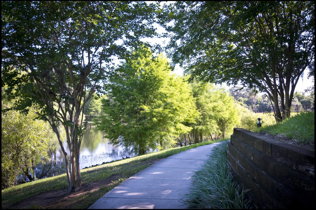 Walking trails